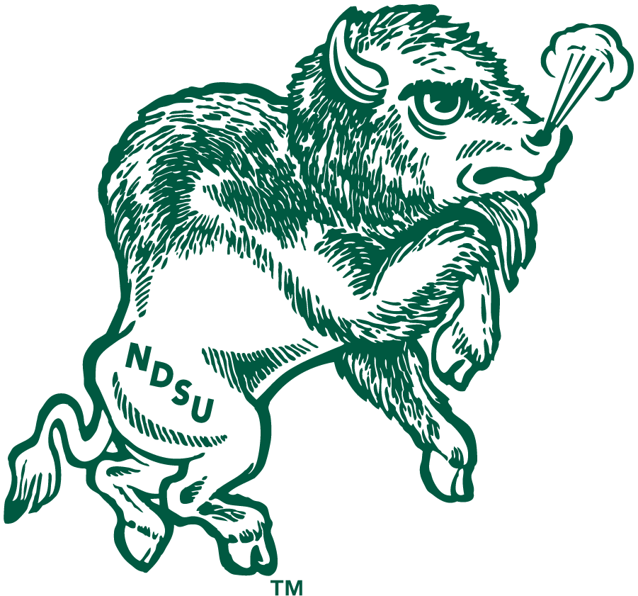 North Dakota State Bison 1972-1999 Primary Logo iron on transfers for clothing
